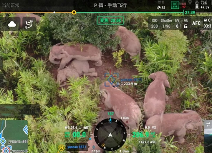 野生动物保护